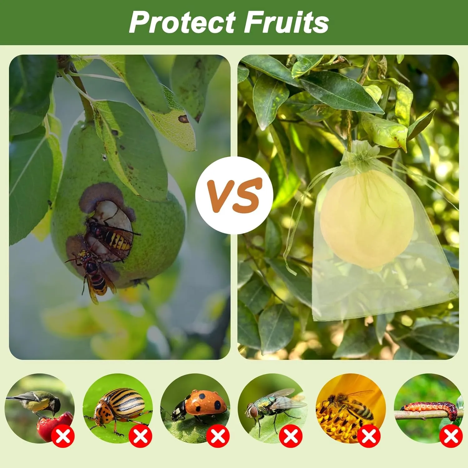 500 Pcs Fruit Protection Bags 4'' x 6'' Drawstring Mesh Fruit Protection Bags, Fruit Netting Bags for Protecting Fruit and Vegetables, Green