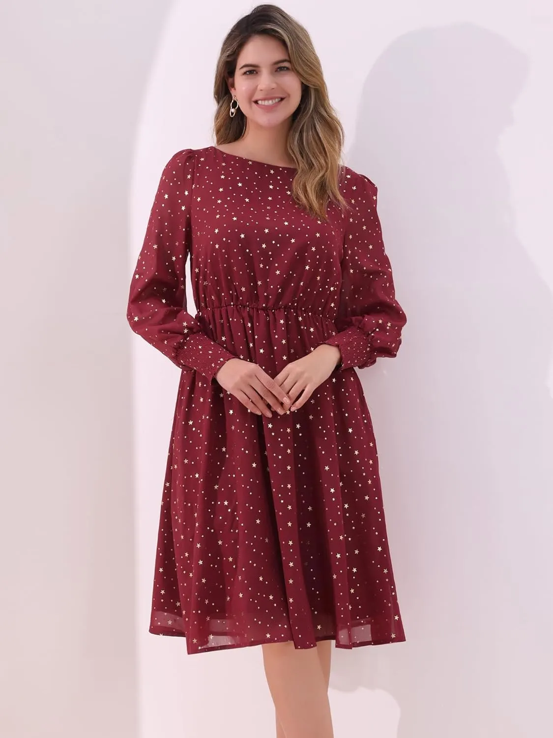 Allegra K Women's Puff Long Sleeve Elastic Waist Glitter Stars Boat Neck Mesh Casual Dress