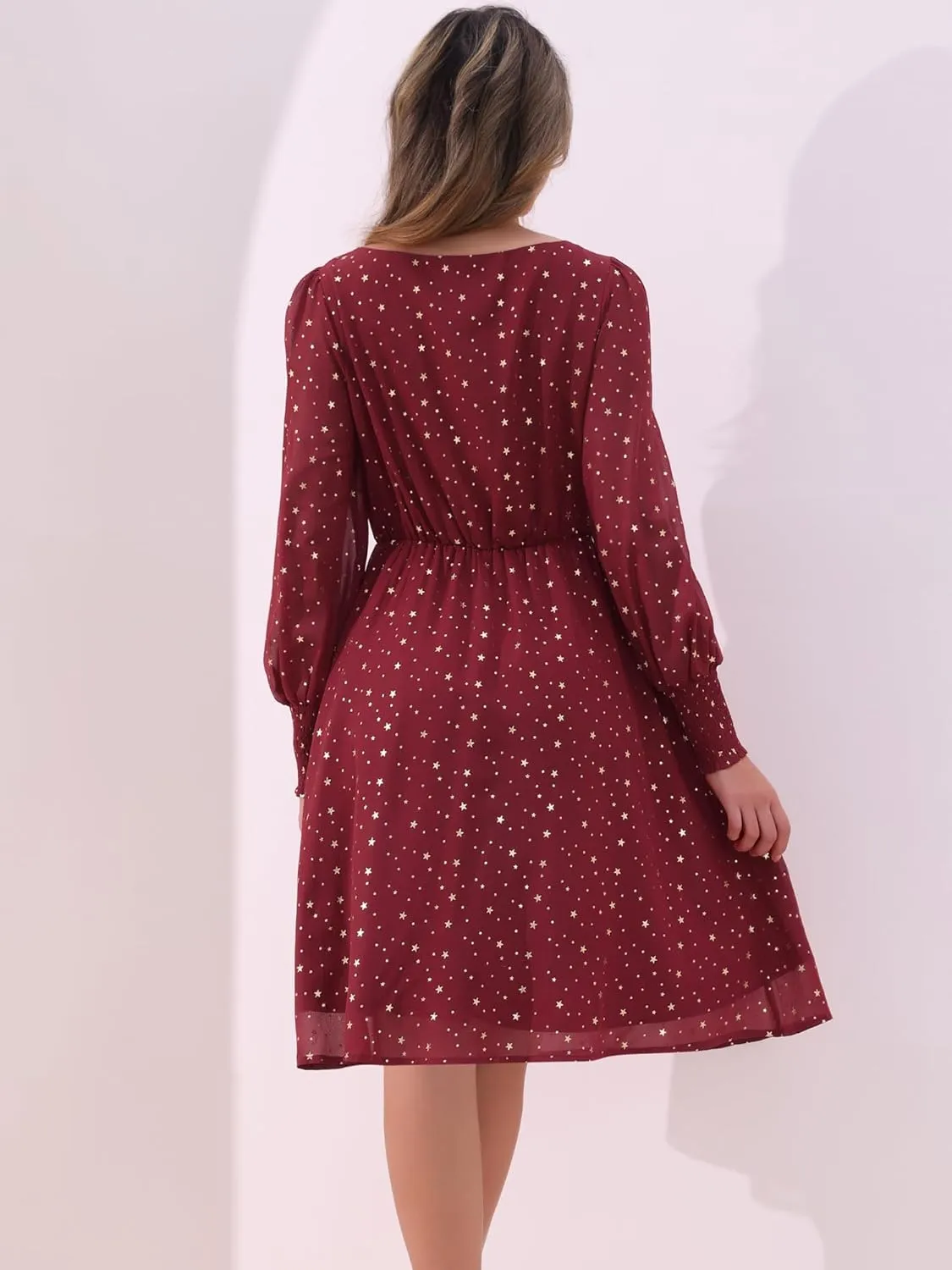 Allegra K Women's Puff Long Sleeve Elastic Waist Glitter Stars Boat Neck Mesh Casual Dress