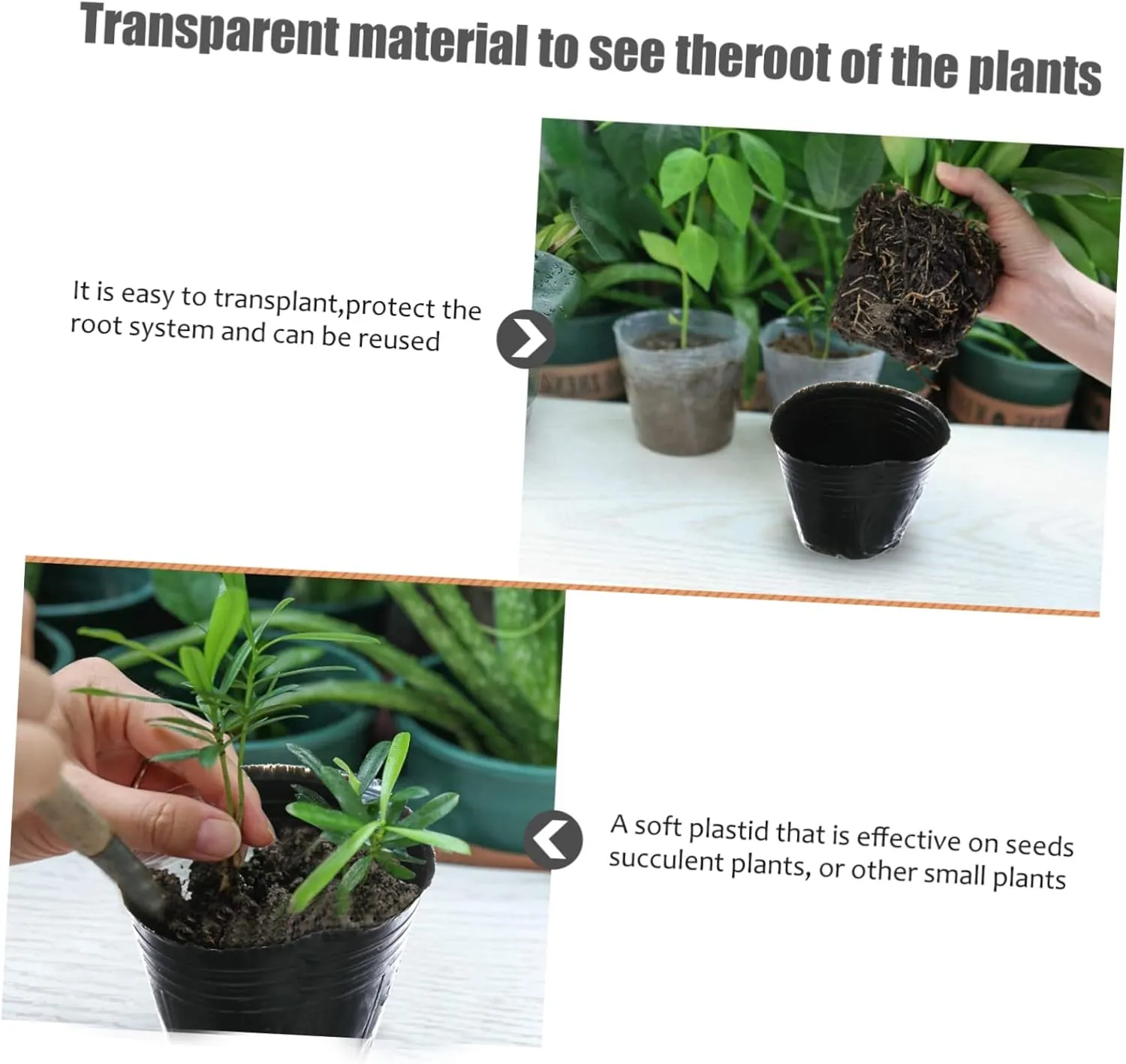 BESPORTBLE 1000 Pcs Nutrition Cup Nursery Plant Pot Starter Garden Pot Planting Net Hydro Planting Planter Nursery Pot Tree Seedling Grow Bags Small Plant Pots Clear Plant Pot Plants or Black