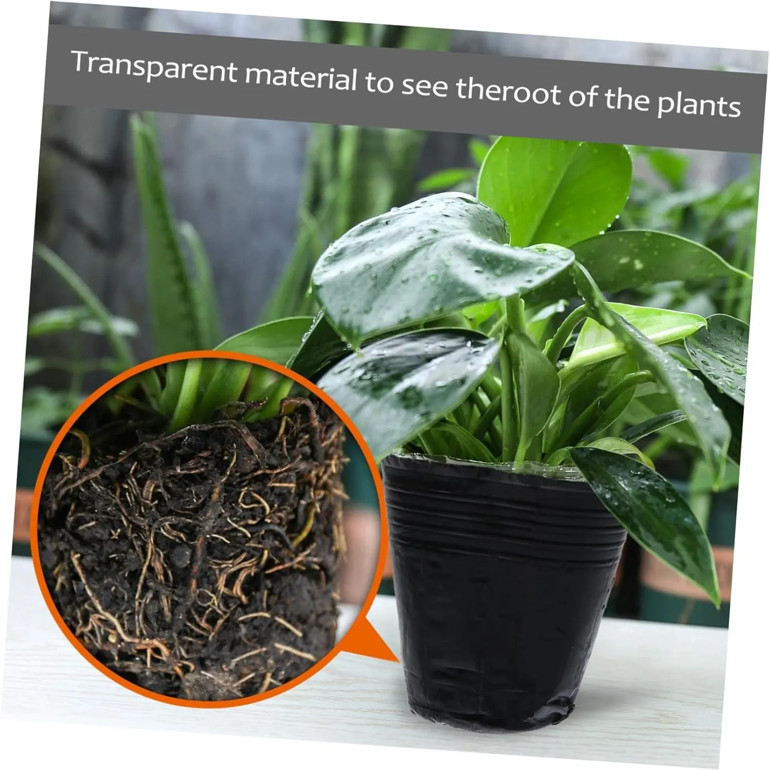 BESPORTBLE 1000 Pcs Nutrition Cup Nursery Plant Pot Starter Garden Pot Planting Net Hydro Planting Planter Nursery Pot Tree Seedling Grow Bags Small Plant Pots Clear Plant Pot Plants or Black