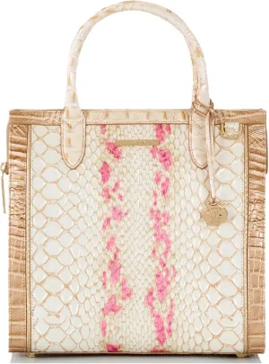 BRAHMIN Caroline