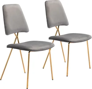 Chloe Dining Chair (Set of 2) Gray & Gold