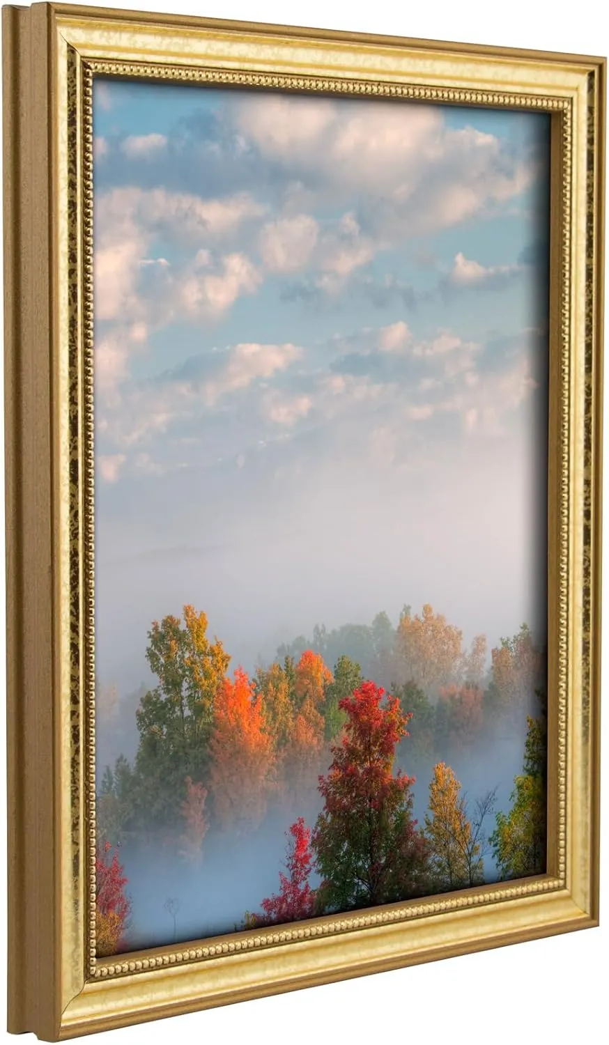 Craig Frames 16x20 Ornate Gold Picture Frame – Traditional Thin Wood Design with Plexiglass & Backing, Versatile Wall Hanging Kit Included, Style 314GD