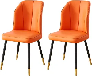 Dining Chair 2PCS Dining Chair, Nordic PU Upholstered Hotel/Restaurant Back Chair, Home Simple Iron Desk Chair (Color : C)