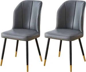 Dining Chair 2PCS Dining Chair, Nordic PU Upholstered Hotel/Restaurant Back Chair, Home Simple Iron Desk Chair (Color : E)