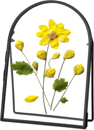 Double Glass Frame for Pressed Flowers Handmade, Metal Floating Picture Frame for Pressed Flower, Tabletop Display, Brass, ArcShaped, Black, 5x7 inches (FRAME ONLY)
