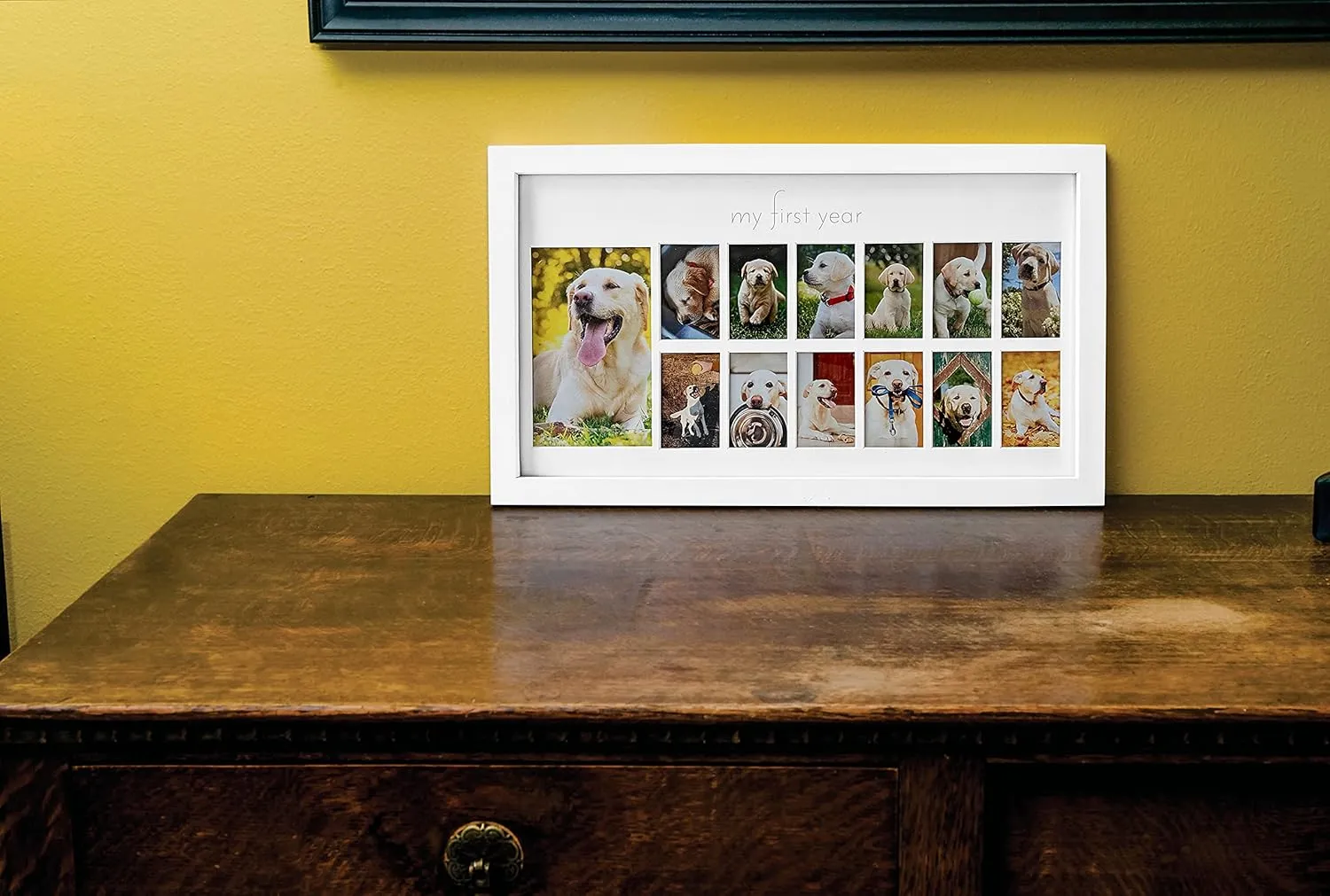 Green Pollywog My First Year Dog Picture Frame | 12-Month Photo Display | White Wood Keepsake | Fur Baby Milestone Gift