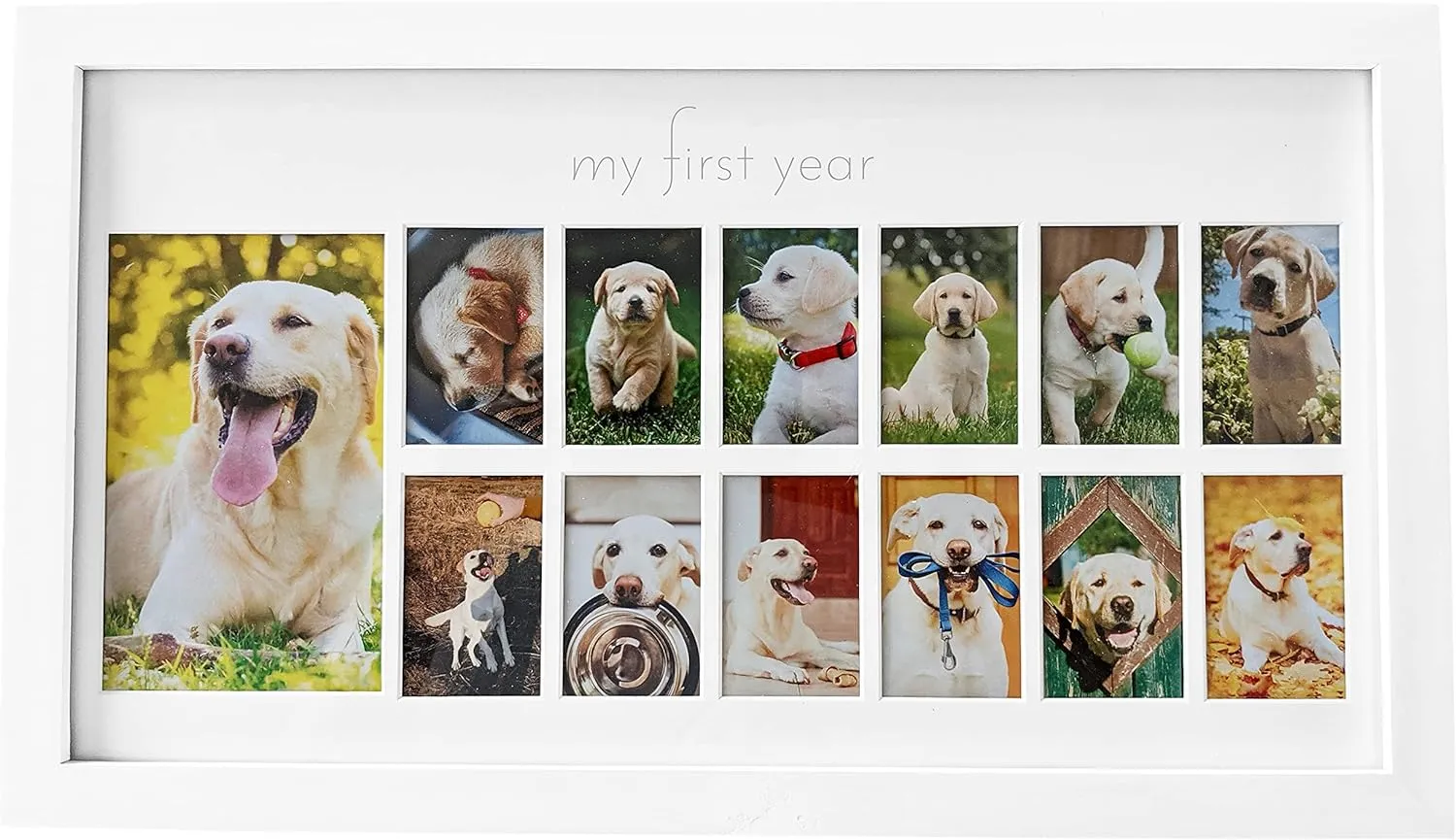 Green Pollywog My First Year Dog Picture Frame | 12-Month Photo Display | White Wood Keepsake | Fur Baby Milestone Gift