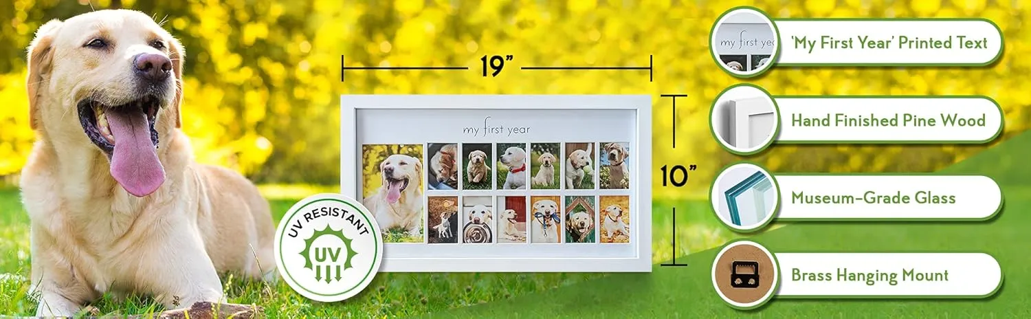 Green Pollywog My First Year Dog Picture Frame | 12-Month Photo Display | White Wood Keepsake | Fur Baby Milestone Gift
