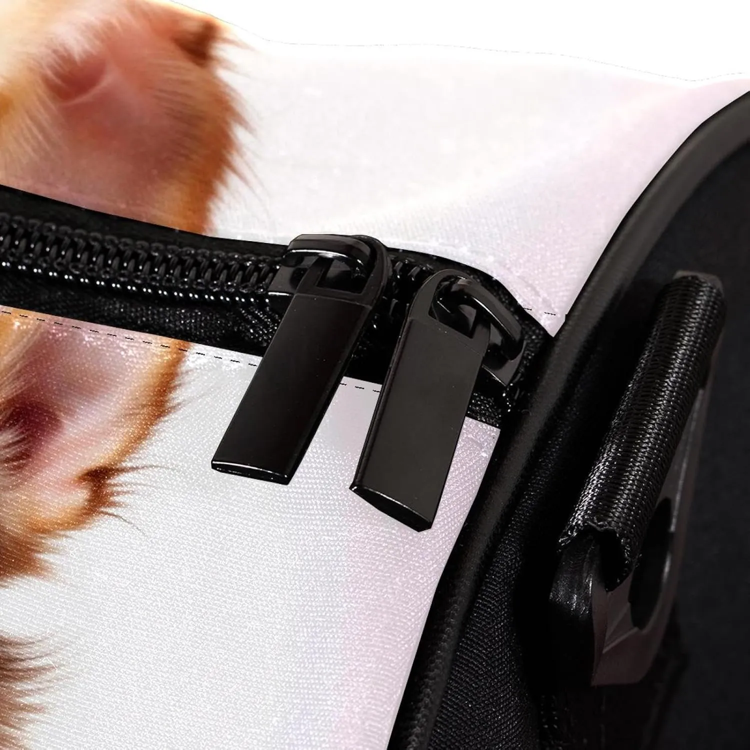 Gym Bags for Men,Travel Duffel Bags for Women,Chihuahua Dog and Rose,Workout Bag