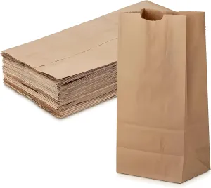 Kraft Paper Bags - 6 lb (5.6 x 3.6 x 11.3 inch) Paper Bags - Brown Paper Lunch Sandwich Bags for Bake Sales, Grocery, Retail, Candy, Farmers Market and Takeout (250)