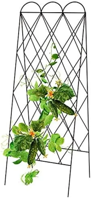 Panacea 90140 Rustic Heirloom Folding Trellis, Brown, 60" H
