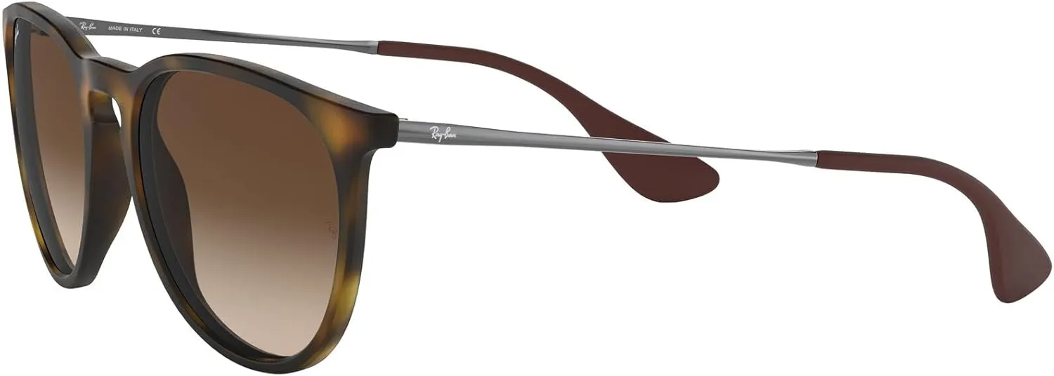 Ray-Ban RB4171 Erika Round Sunglasses