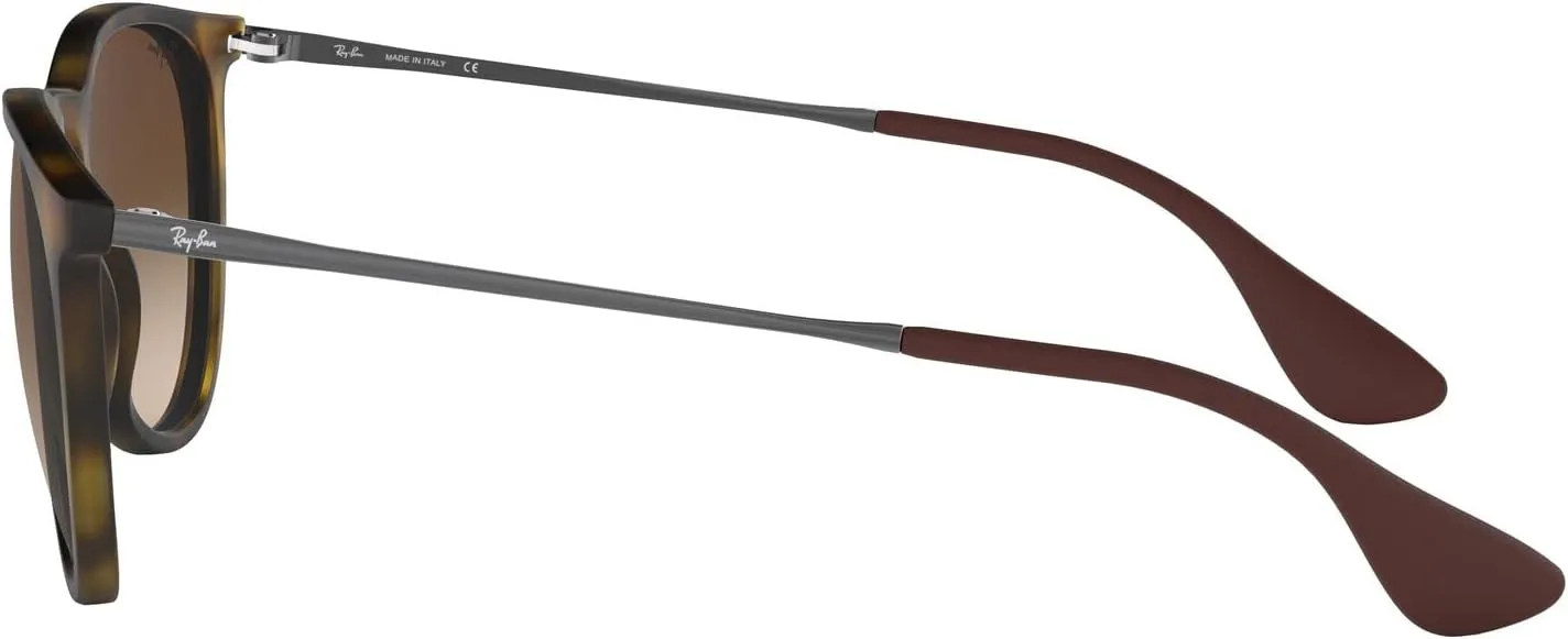 Ray-Ban RB4171 Erika Round Sunglasses
