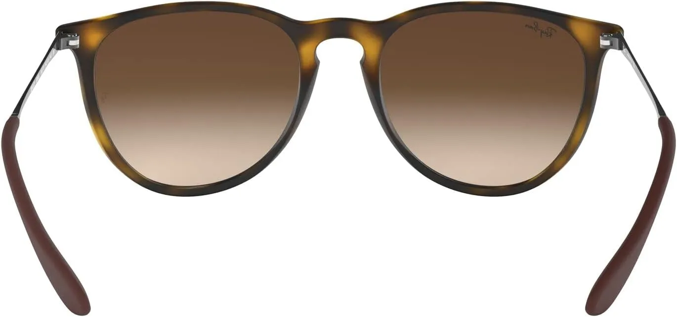 Ray-Ban RB4171 Erika Round Sunglasses