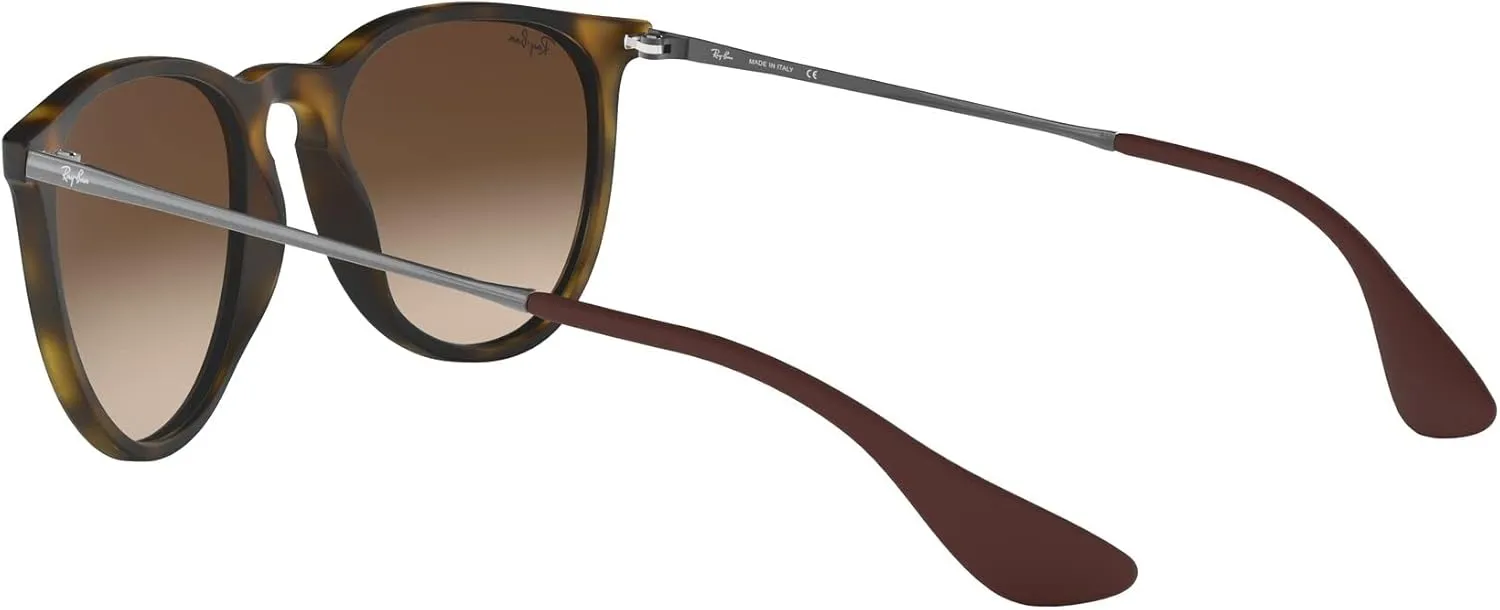 Ray-Ban RB4171 Erika Round Sunglasses