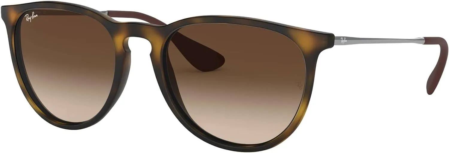 Ray-Ban RB4171 Erika Round Sunglasses