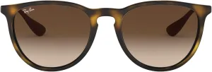 Ray-Ban RB4171 Erika Round Sunglasses