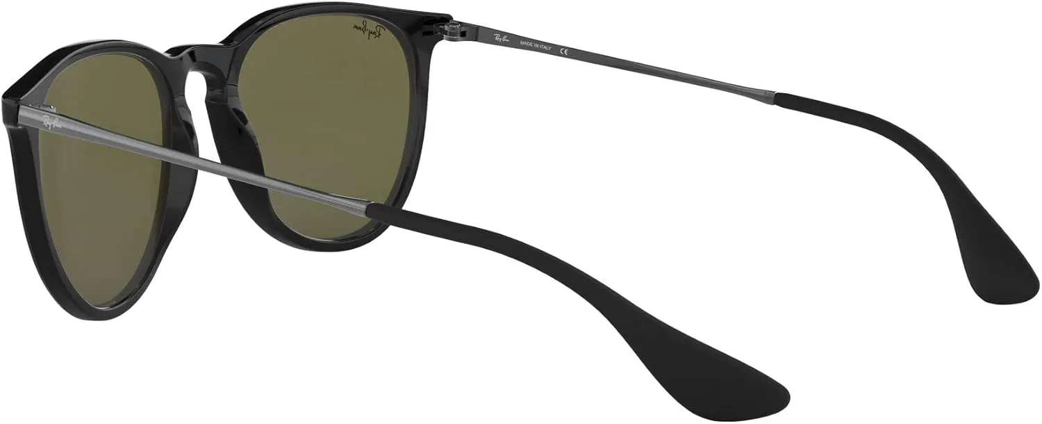 Ray-Ban RB4171 Erika Round Sunglasses