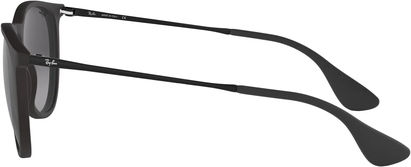 Ray-Ban RB4171F Erika Low Bridge Fit Round Sunglasses