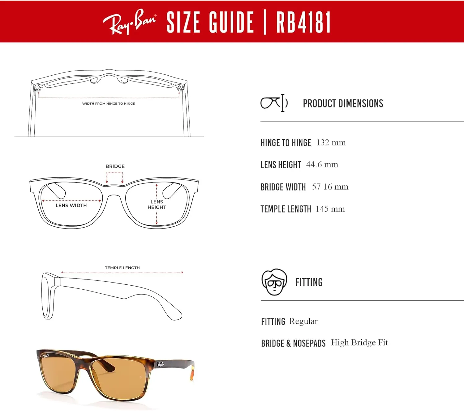Ray-Ban RB4181 Square Sunglasses For Men   BUNDLE with Designer iWear Eyewear Kit