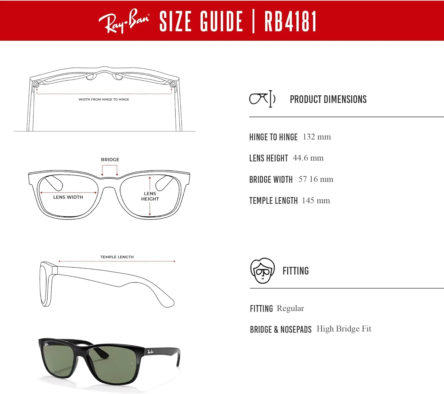 Ray-Ban RB4181 Square Sunglasses For Men   BUNDLE with Designer iWear Eyewear Kit