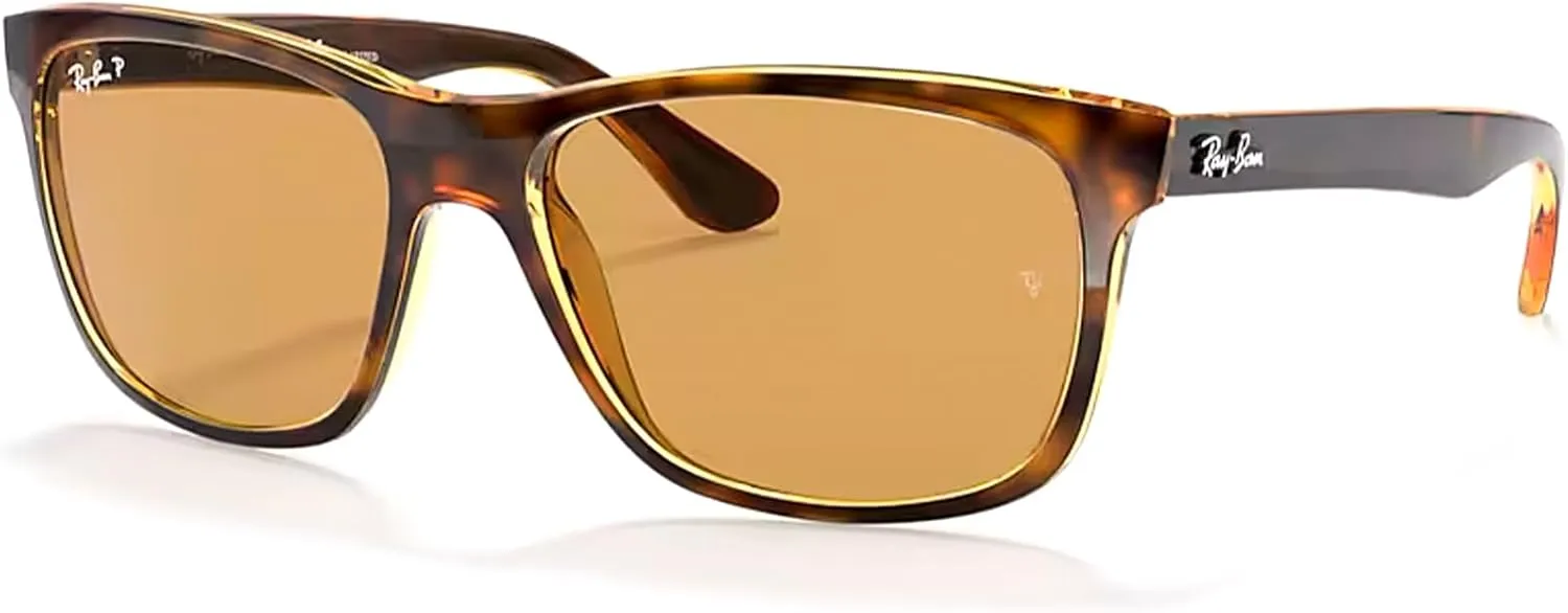 Ray-Ban RB4181 Square Sunglasses For Men   BUNDLE with Designer iWear Eyewear Kit