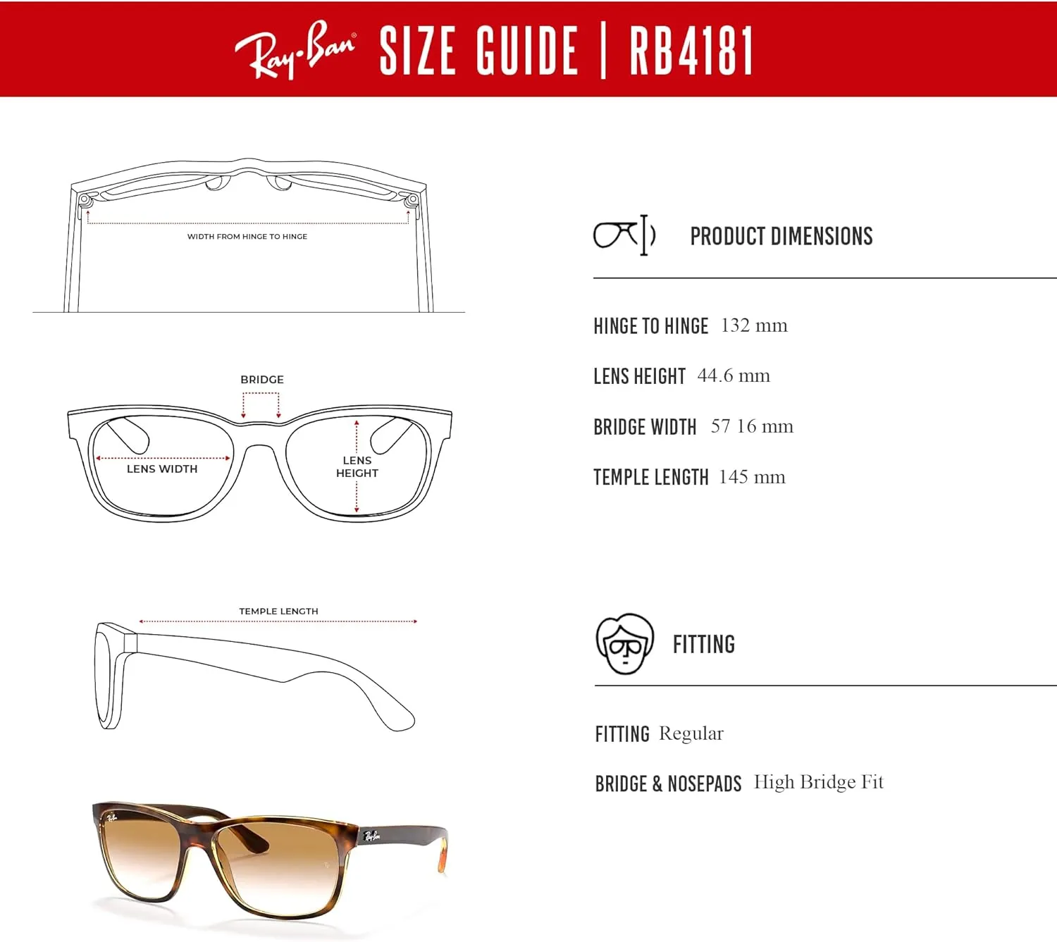 Ray-Ban RB4181 Square Sunglasses For Men   BUNDLE with Designer iWear Eyewear Kit