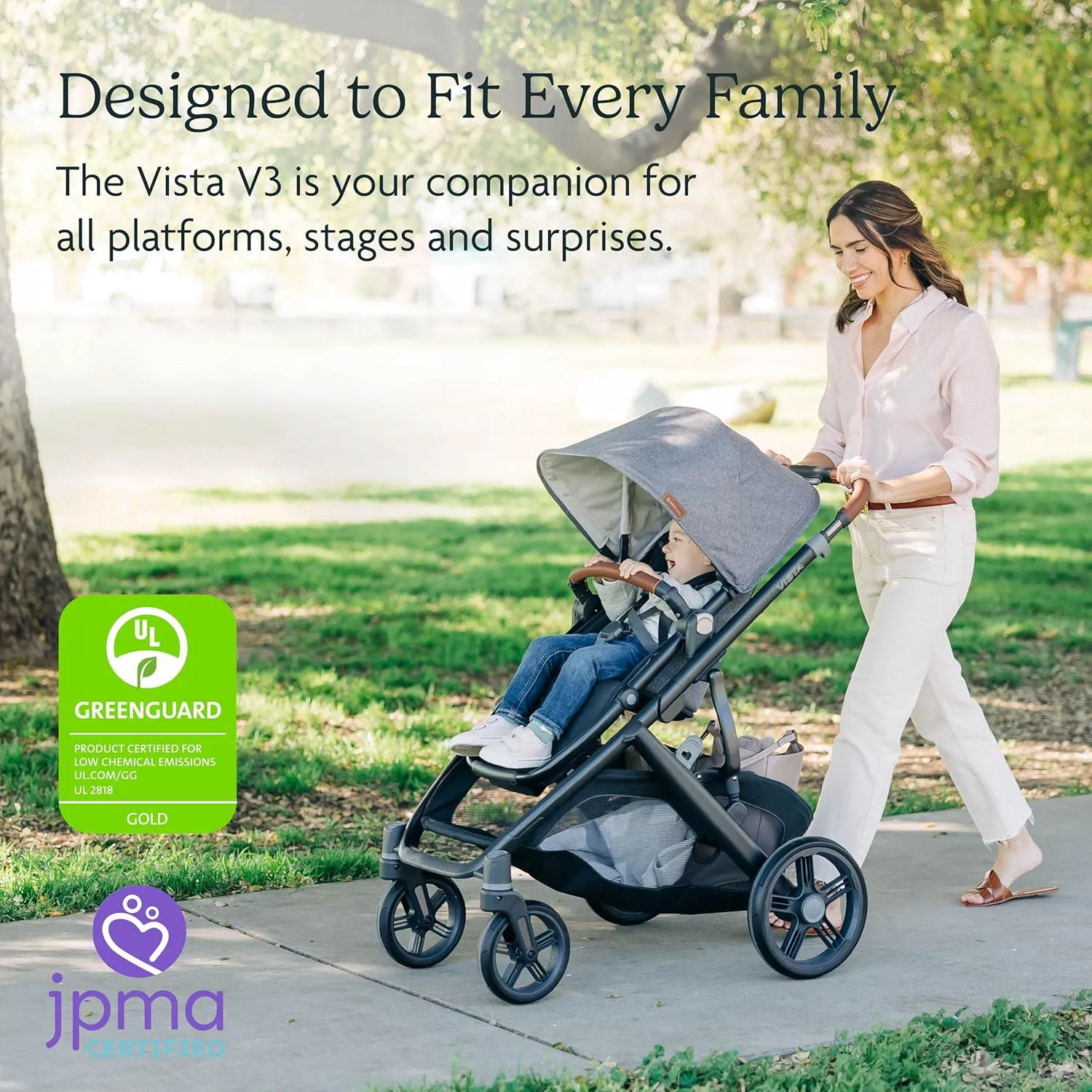 UPPAbaby Vista V3 Stroller - Full-Size Single-to-Double Stroller System - Toddler Seat, Bug Shield, Rain Shield, and Storage Bag Included - Jake (Charcoal/Carbon Frame/Black Leather)
