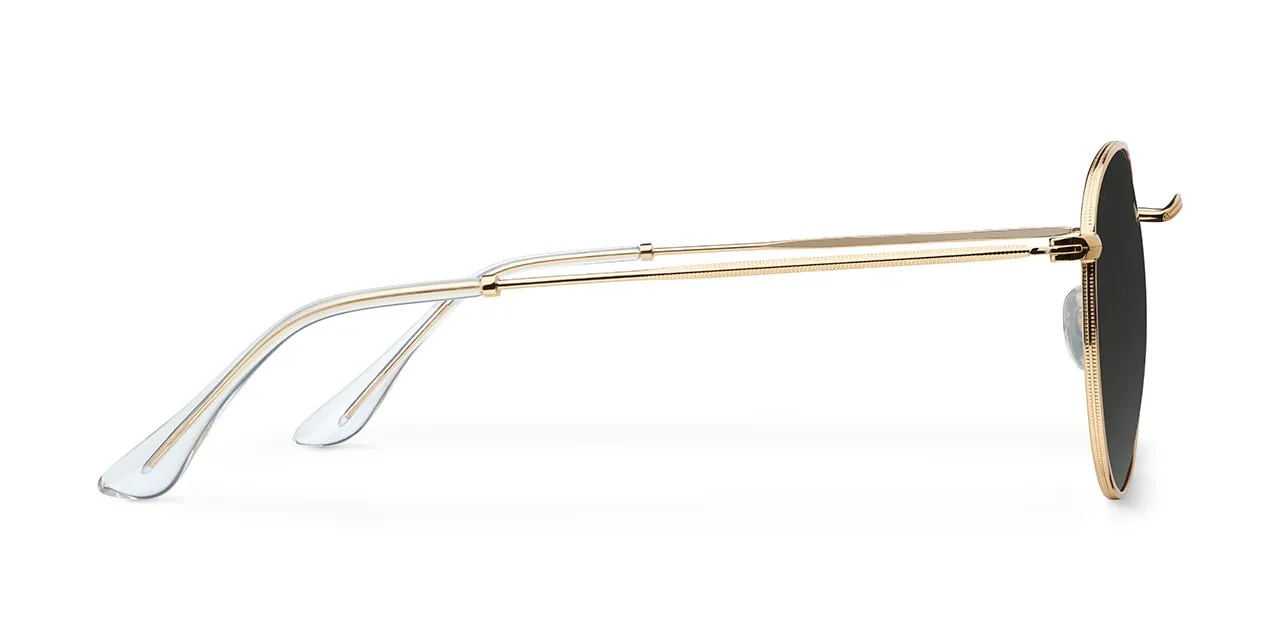 Yster Large Sunglasses Gold Carbon