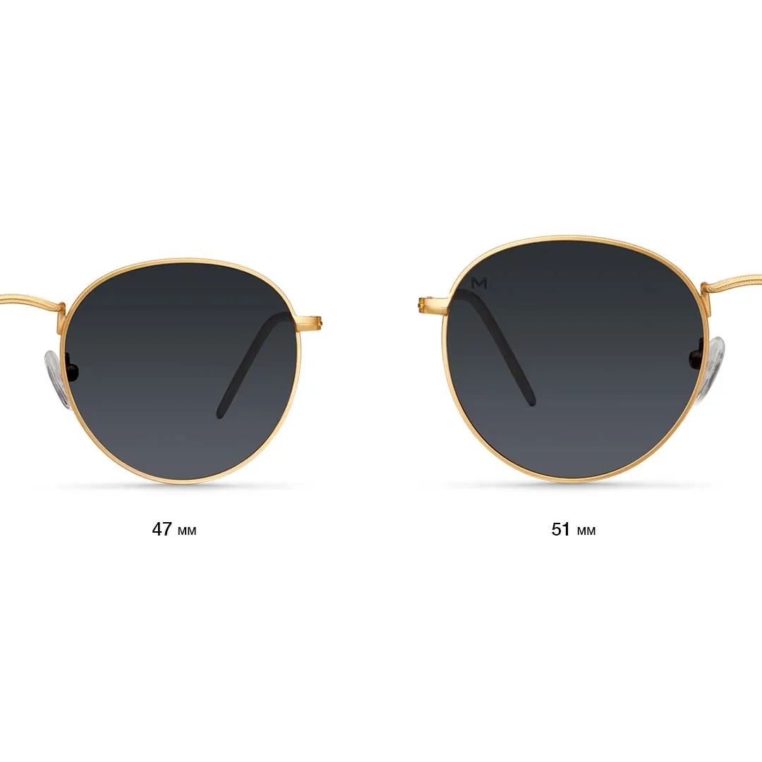 Yster Large Sunglasses Gold Carbon