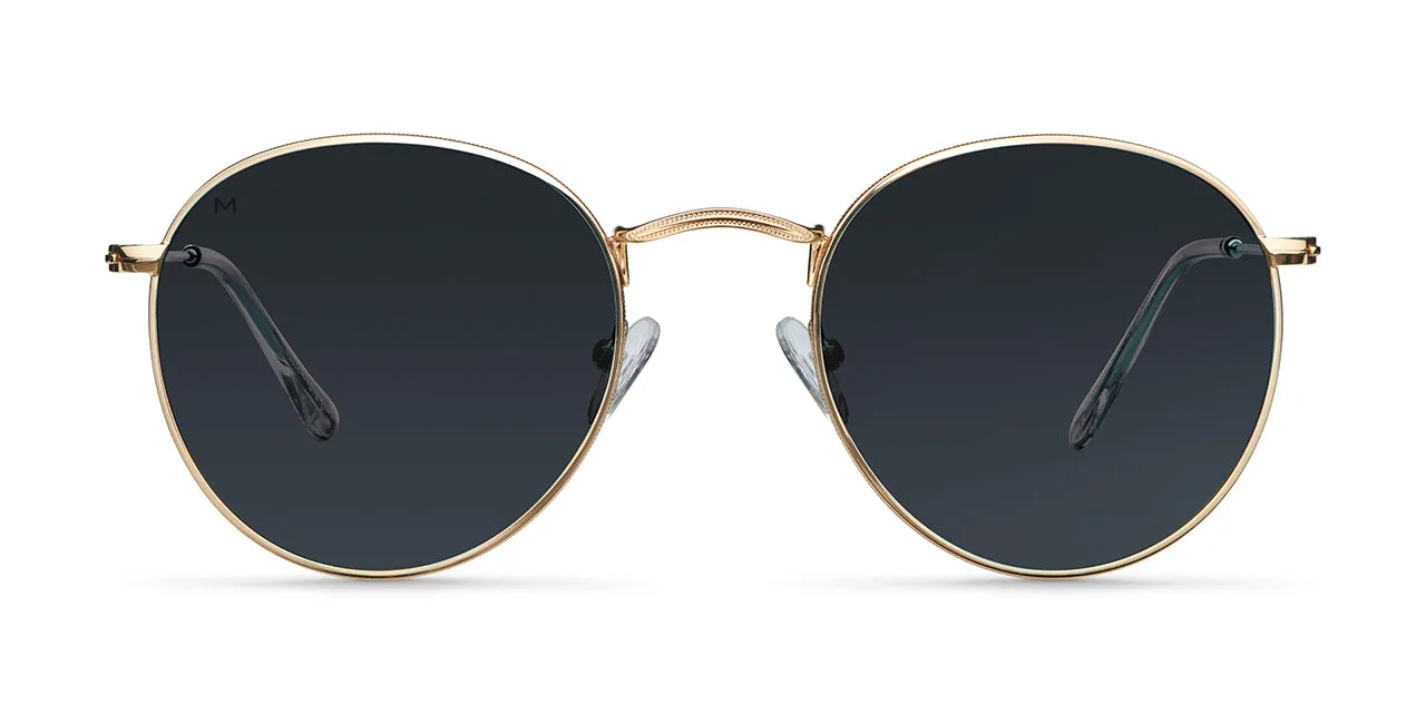 Yster Large Sunglasses Gold Carbon