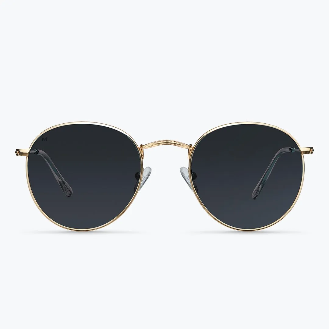 Yster Large Sunglasses Gold Carbon